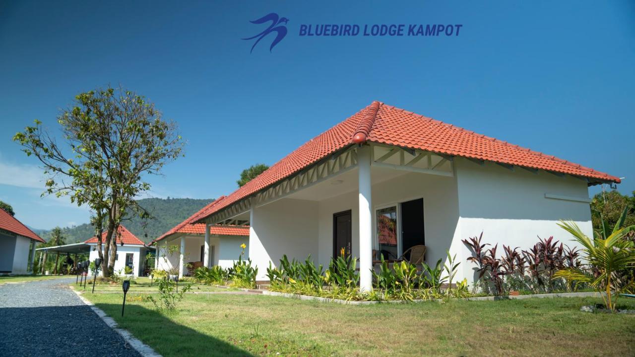 Bluebird Lodge Kampot Exteriör bild