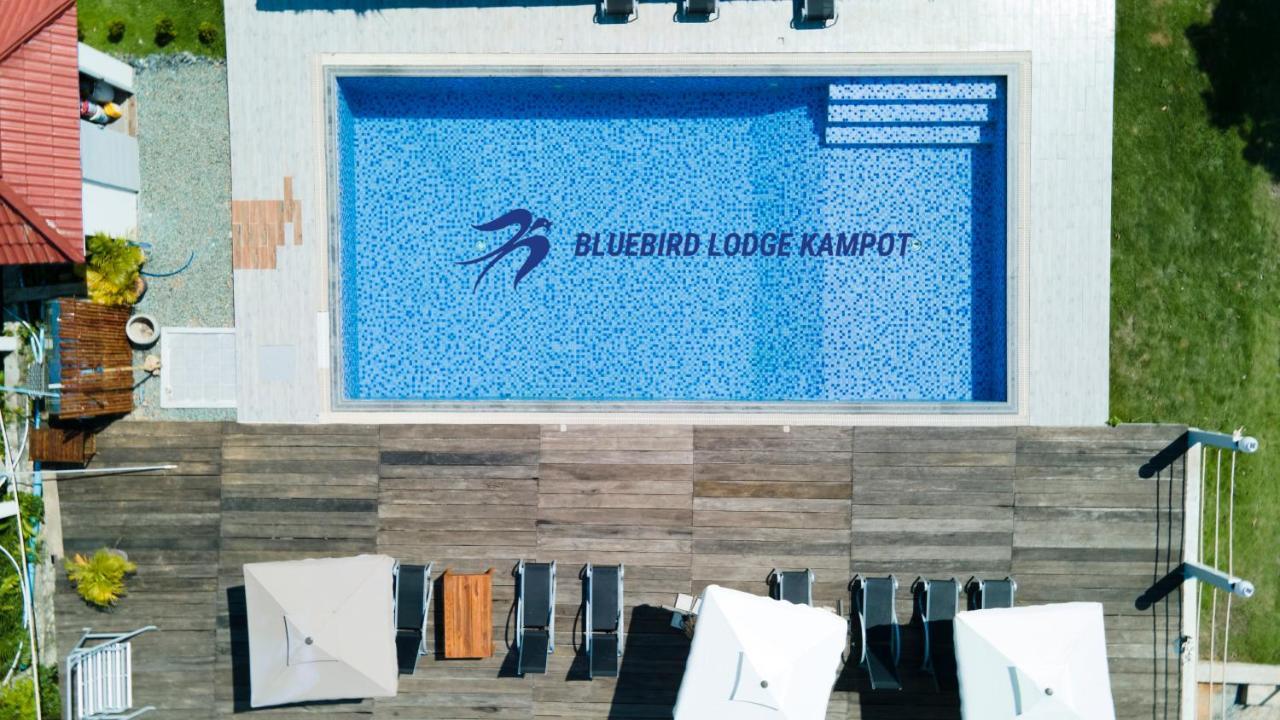 Bluebird Lodge Kampot Exteriör bild