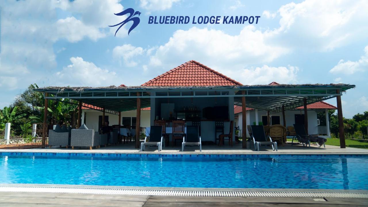 Bluebird Lodge Kampot Exteriör bild